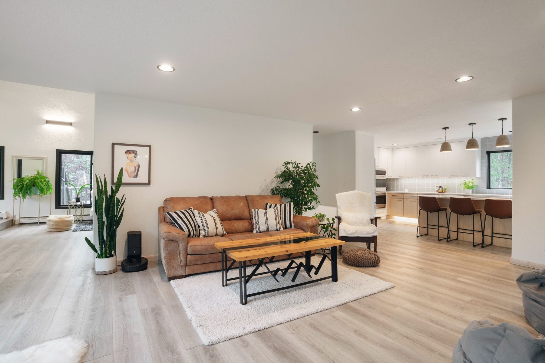 Open living room and kitchen